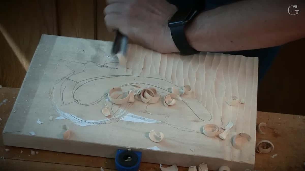 Curled shavings
