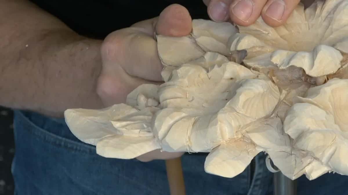 Thumb pressed on a petal, pale handle below