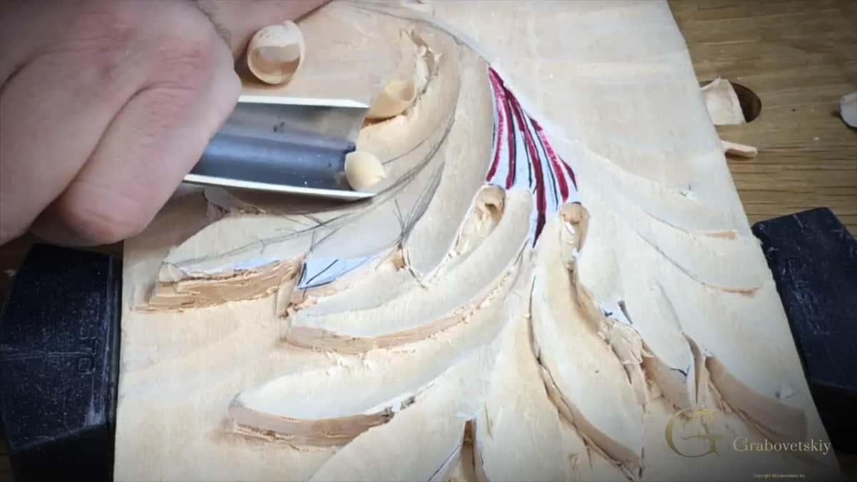 Wide gouge in a hollow, a curl of wood riding on the steel