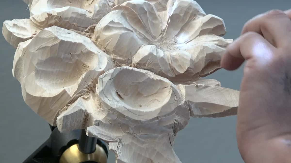 Hand at the right, near a petal rim