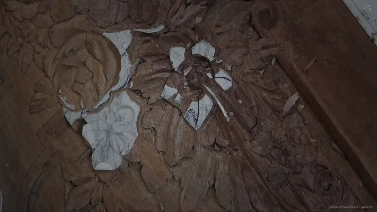 Flower at upper right, paper still on several petals, no hand in view
