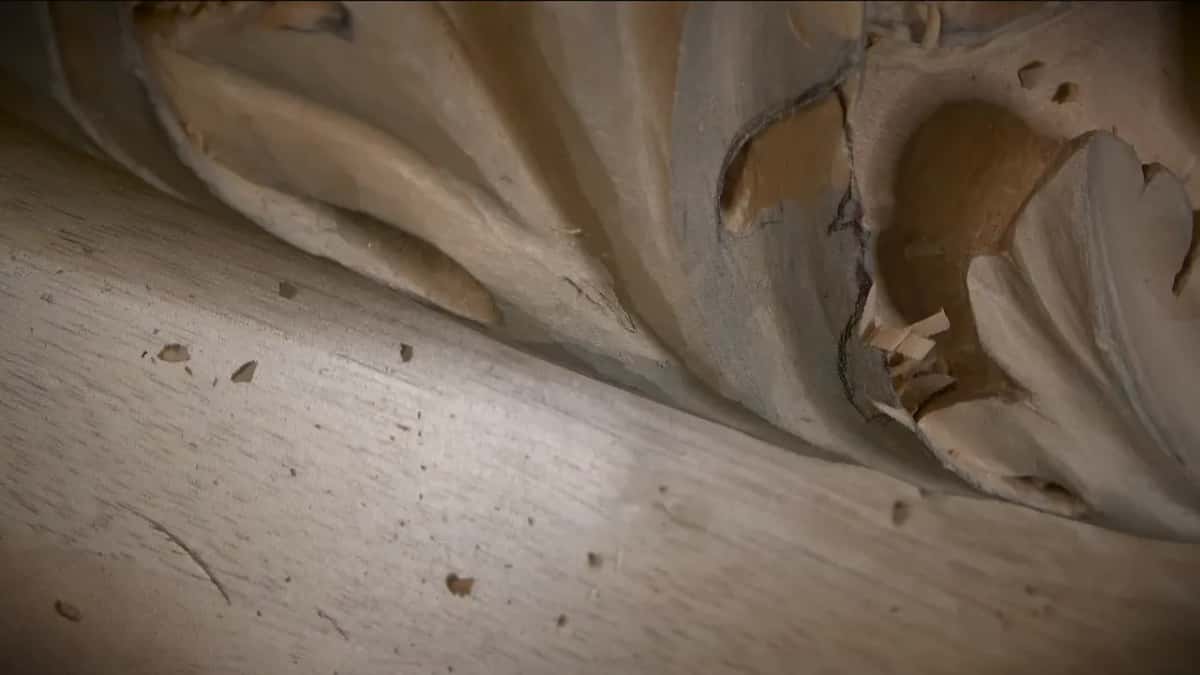 Close view of a rough hollow under a lobe
