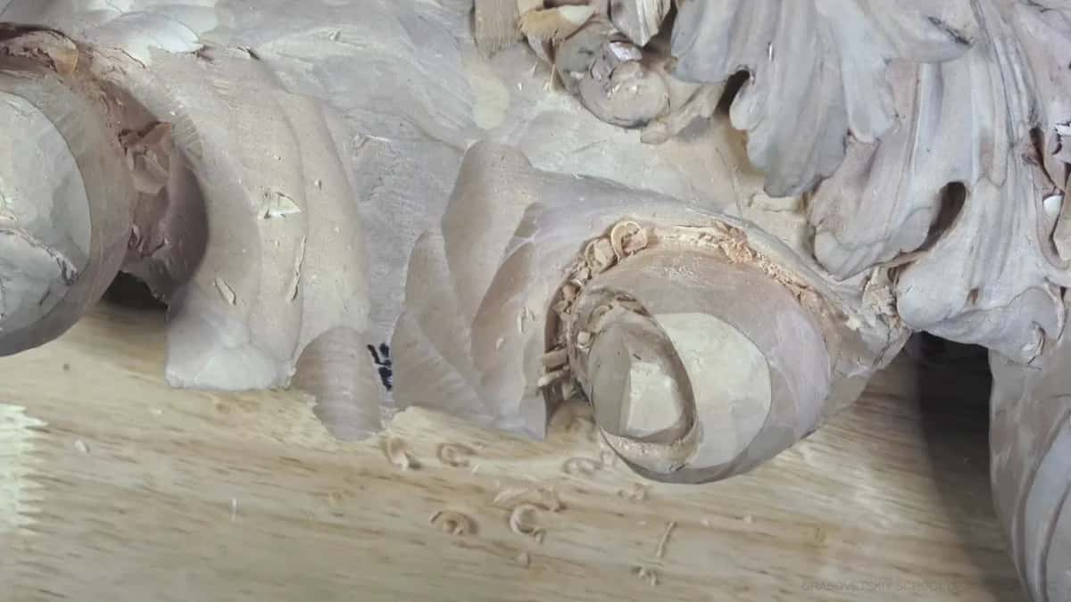 The curl alone, a dark ring inside.