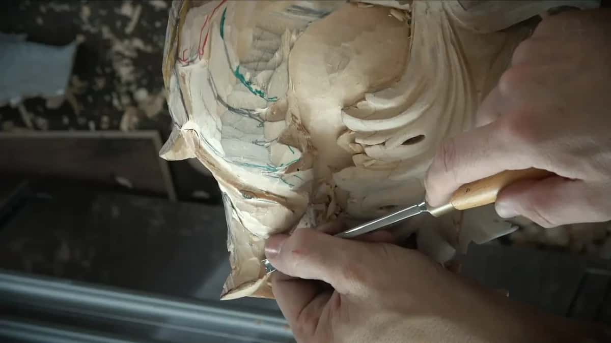 Both hands steady a small gouge in the gap between the lined side and the lower lobes of the leaf
