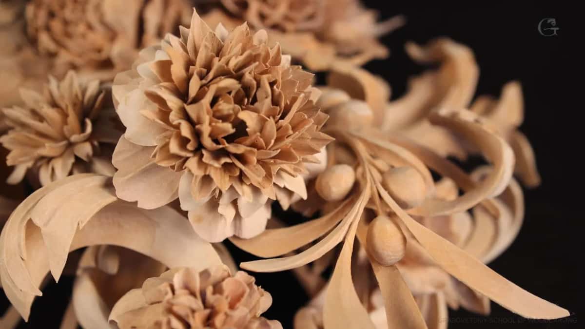Close up of deep carved petals
